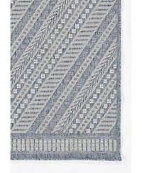 Momeni Hampton Hampoham 3 Area Rug