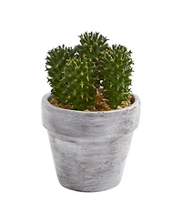 8" Cactus Artificial Plant, Set of 3