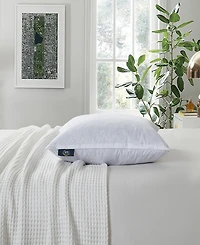 Serta Feather Filled 2-Pack Pillow Inserts, 20" x 20"