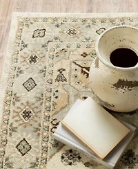 Oriental Weavers Florence 4332x Area Rugs