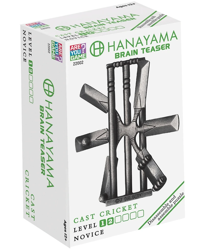 Areyougame Hanayama Level 2 Cast Puzzle