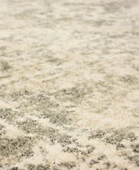 Closeout Karastan Touchstone Le Jardin Area Rug