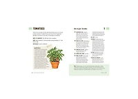 How to Grow Your Own Food