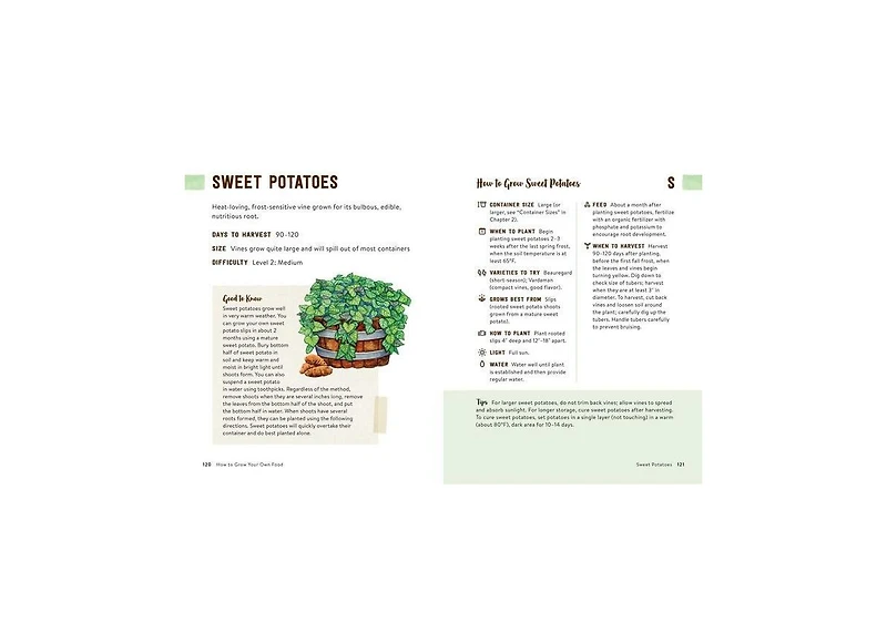 How to Grow Your Own Food