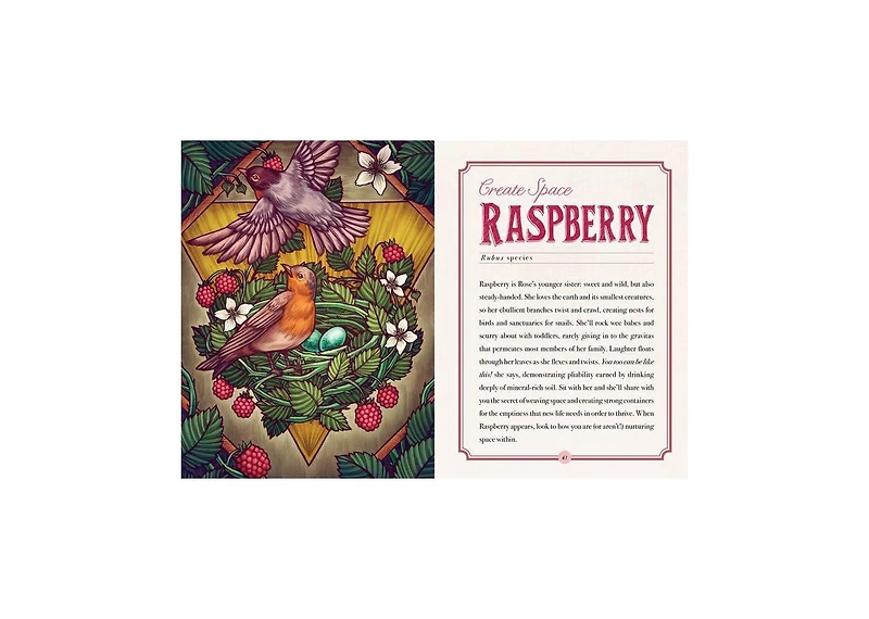 The Illustrated Herbiary