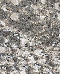 Feizy Azure R3403 5' x 8' Area Rug