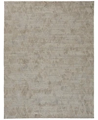 Feizy Elias R6718 3'6" x 5'6" Area Rug