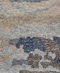 Feizy Everley R8647 4' x 6' Area Rug