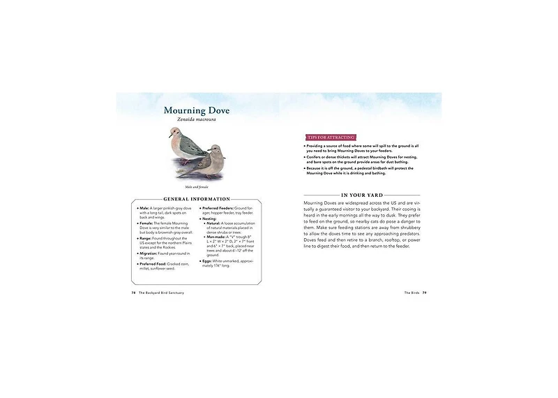 The Backyard Bird Sanctuary- A Beginner's Guide to Creating A Wild Bird Habitat At Home by Alan Baczkiewicz