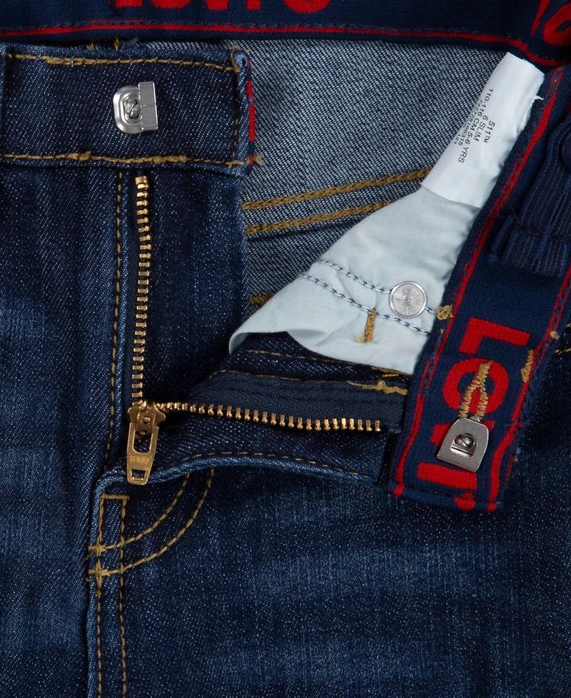 Levi's Little Boys Slim Fit Performance Shorts