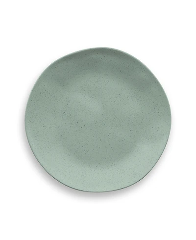 Abode Homewares Wheat Pp 6-Piece Salad Plate 8.5"