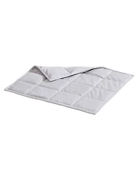 DreamLab 5lb Weighted Lap Throw, 20" x 23"