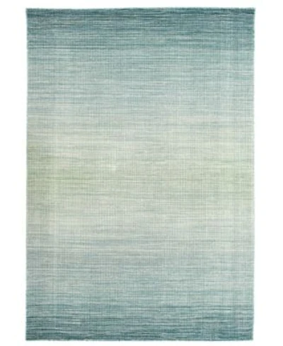 Liora Manne Aruba Ombre Area Rug