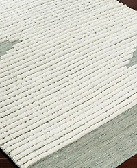 Livabliss Apache Apa-2313 3" x 5' Area Rug