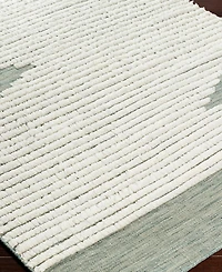 Livabliss Apache Apa-2313 6" x 9' Area Rug