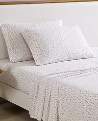 Betsey Johnson Printed Cotton Percale -Pc. Sheet Set