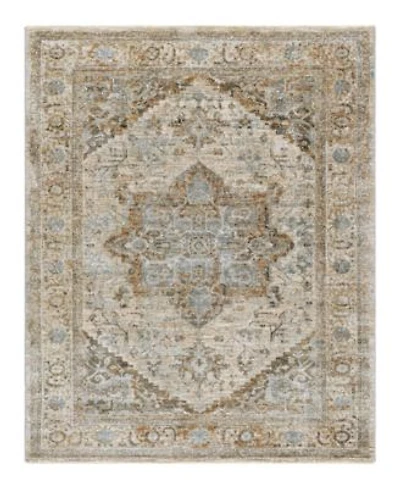 Surya Brunswick Bwk 2318 Area Rugs