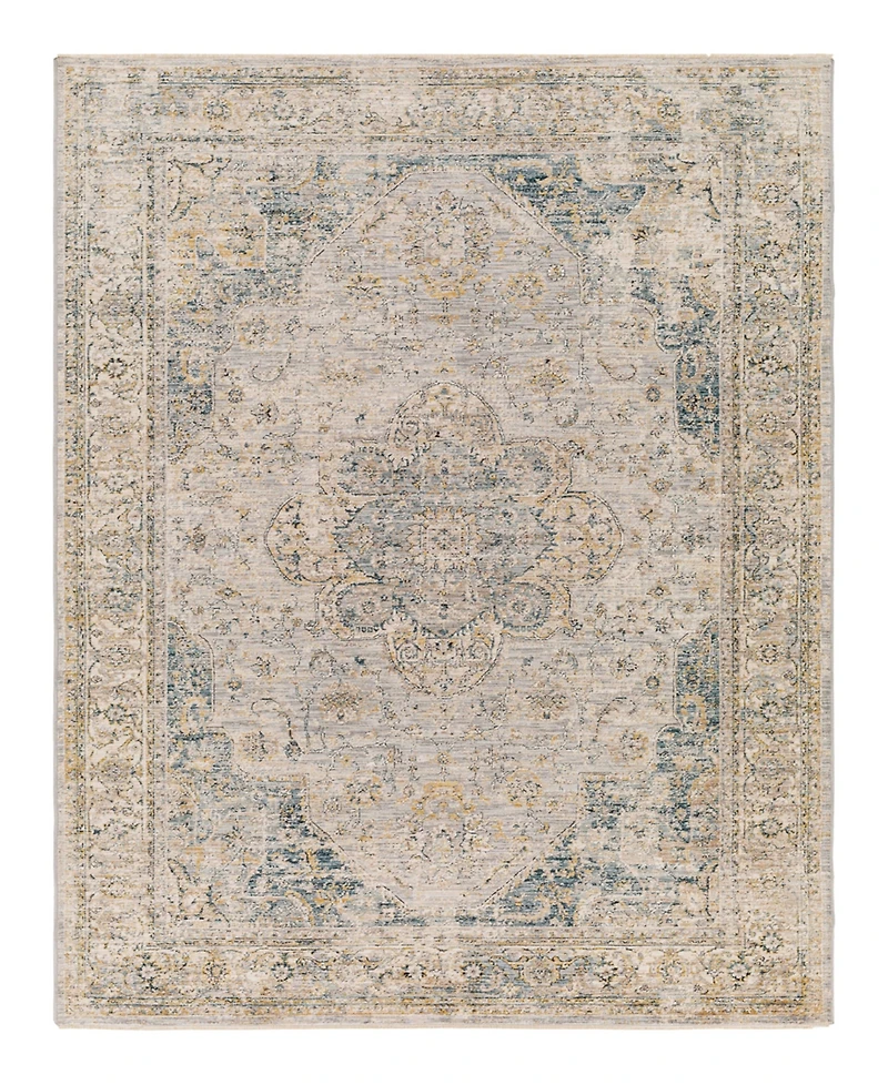 Livabliss Aspendos Aps-2303 2' x 3' Area Rug