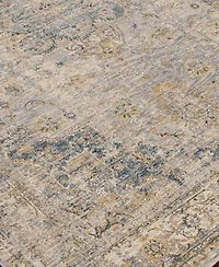 Livabliss Aspendos Aps 2303 Area Rugs