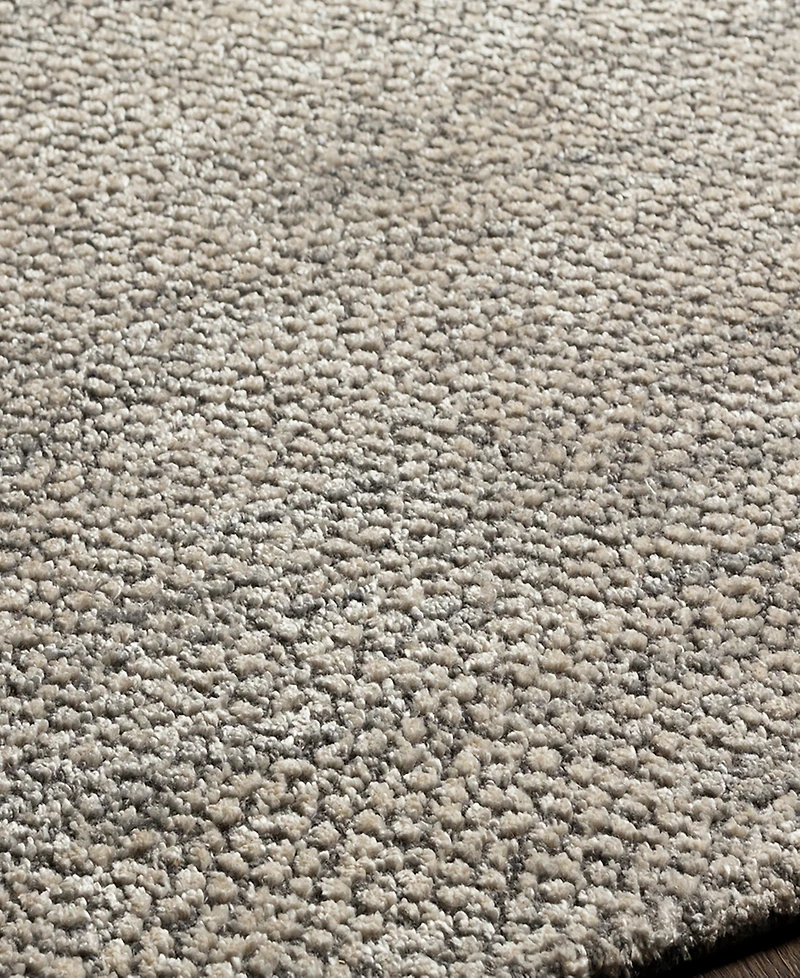 Surya Helen Hle-2300 2' x 3' Area Rug
