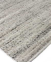Exquisite Rugs Hesse ER3857 8' x 10' Area Rug