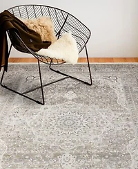 Bashian Charm Chm134 Area Rug