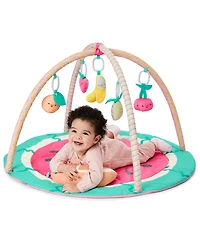 Skip Hop Watermelon Play Gym, 7 Piece Set