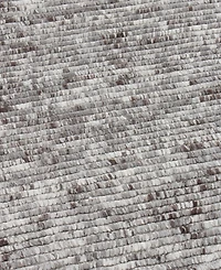 Exquisite Rugs Kaza ER4101 6' x 9' Area Rug