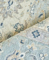 Exquisite Rugs Harper ER4231 8' x 10' Area Rug