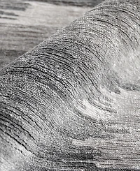 Exquisite Rugs Viscose from Bamboo Silk ER3282 6' x 9' Area Rug