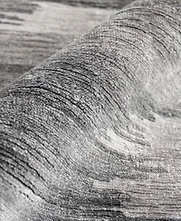 Exquisite Rugs Viscose From Bamboo Silk Er3282 Area Rug