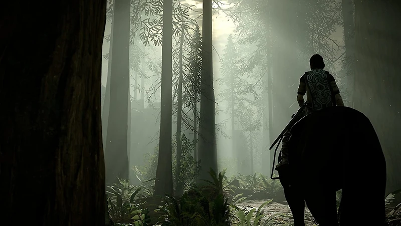 Sony Computer Entertainment Shadow of the Colossus