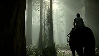 Sony Computer Entertainment Shadow of the Colossus