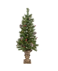 Northlight 4' Pre- Lit Frosted Verona Berry Pine Artificial Christmas Entryway Set, 5 Piece