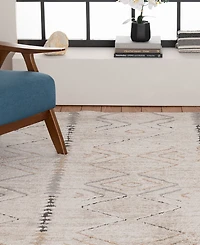 Mink Home Leisure Rune 7'10" x 10'10" Area Rug