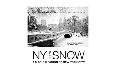 New York in the Snow: A Magical Vision of New York City by Vivienne Gucwa