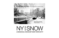 New York in the Snow: A Magical Vision of New York City by Vivienne Gucwa