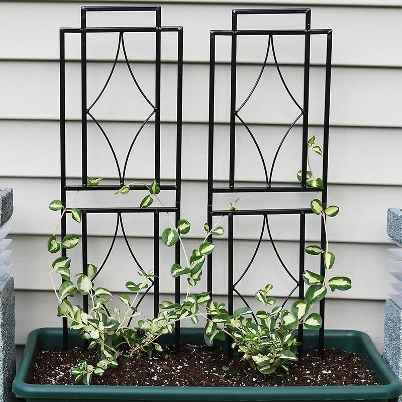 Contemporary Metal Wire Garden Trellis for Climbing Plants and Flowers - 30" H - Black - 2-Pack