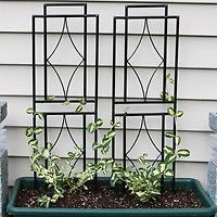 Contemporary Metal Wire Garden Trellis for Climbing Plants and Flowers - 30" H - Black - 2-Pack