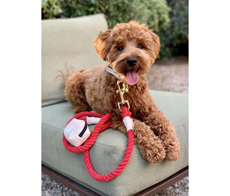 PoisePup Pet Dog 5ft Long Leash - Hot Marine