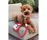 PoisePup Pet Dog 5ft Long Leash - Hot Marine