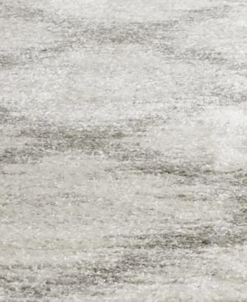 Safavieh Adirondack 122 Ivory and Silver 9' x 12' Area Rug