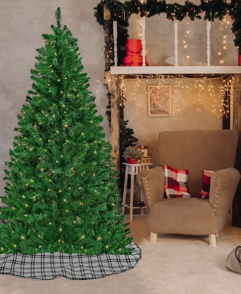 National Tree Company Acacia Pre-lit Christmas with 300 Clear Incandescent or Multicolor Lights, 6'