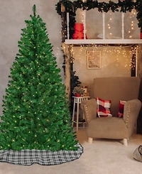 National Tree Company Acacia Pre-lit Christmas with 300 Clear Incandescent or Multicolor Lights, 6'