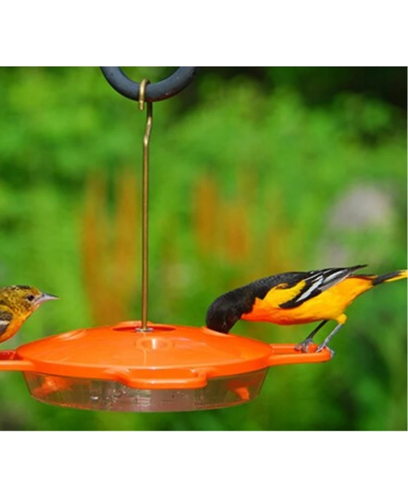 Aspects Oriole Nectar Feeder, 4 Ports, 16 oz