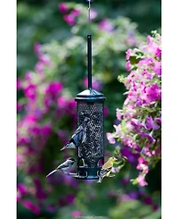 Brome Squirrel Buster Mini Wild Bird Feeder, 11.5-inches