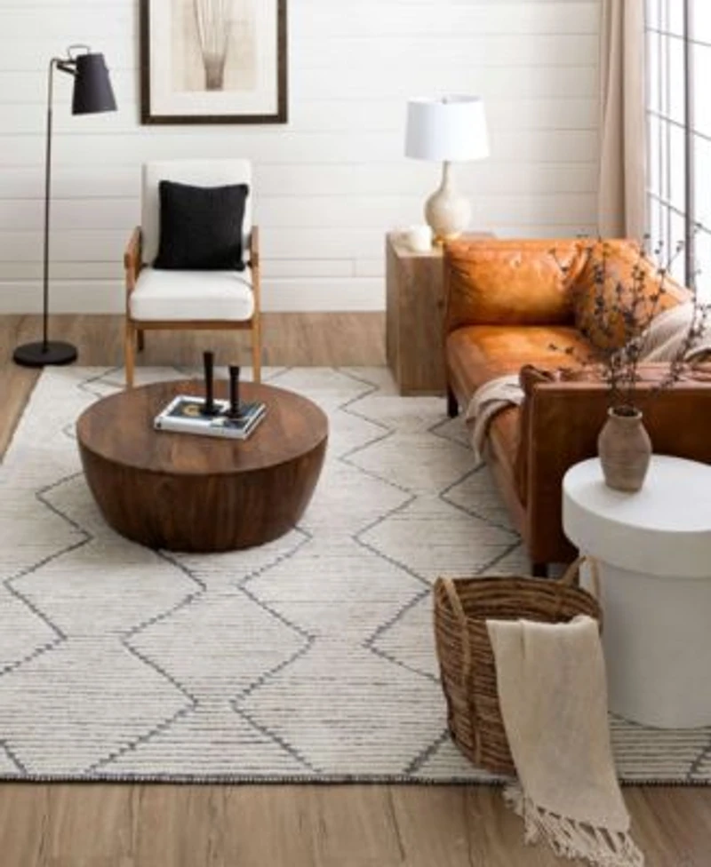 Drew Jonathan Home Sirocco Beni Area Rug