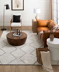 Drew Jonathan Home Sirocco Beni Area Rug