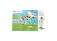 Dinosaurs: 400 Words for Budding Paleontologists by Ellen-Therese Lamm