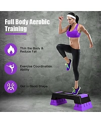 Aerobic Exercise Stepper Trainer W/Riser Adjustable Height